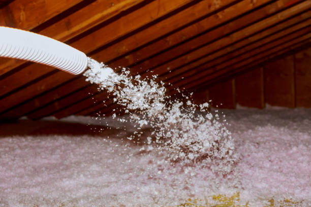 Trusted Bellwood, PA Insulation Contractor Experts