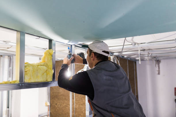 Insulation Repair Services in Bellwood, PA