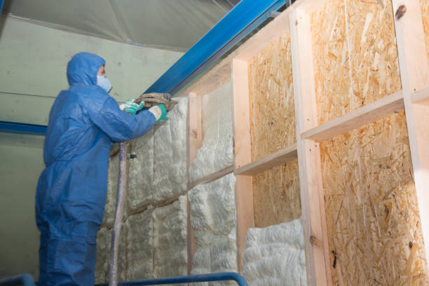 Best Affordable Insulation Services  in Bellwood, PA